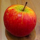 Smart Diet Tracker - Lose Weight Without Food Calorie Counter