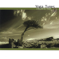 Yoga Tunes Volume II by Michael Cerda
